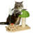66.04cm H Cat Tree