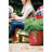 Saturn Traditional Plastic Indoor/Outdoor Round Planter with Saucer-310154100-353335653