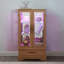 Vitrine lumineuse en verre avec tiroir et tablettes réglables-1661226473