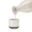 Fervour™: 5-Piece Sake Set