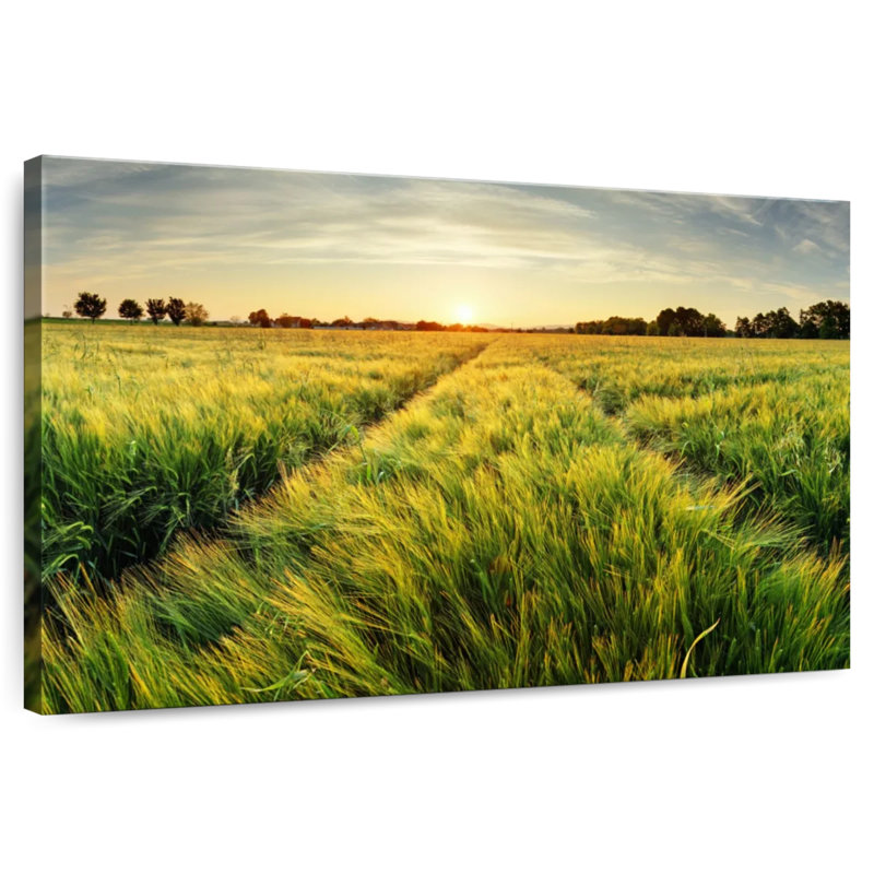 Alvord Wheat Field Before Dark