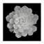 Toile de contraste blanc pur pure, design par Phillip Flowers-1544853462