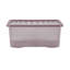 Wham Crystal 5 Piece Bundle Tint Dusky Orchid