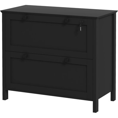 2 Drawer File Cabinet With Lock, Black. Maximize Home Office Storage. Holds Letter, A4, Legal Folders. Functional Design. -Coated Particleboard Material. 31.1" L X 15.7" W 28.3" H. 132 Lbs Capacity.