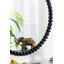 Miroir 32 "avec cadre perlé en métal