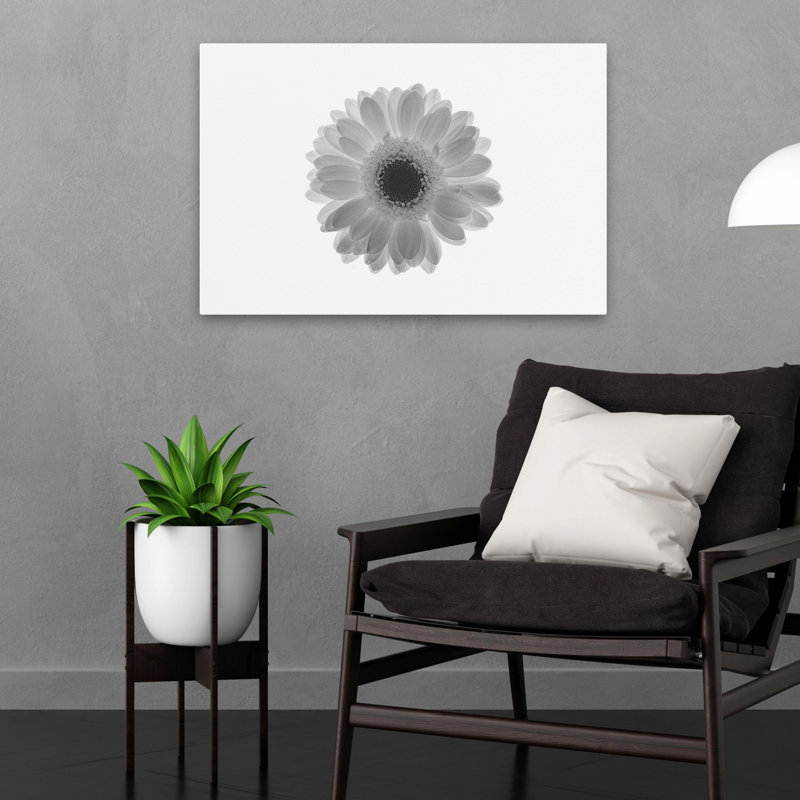 Plantes, fleurs, marguerite, art mural, H 16 po x l 24 po