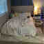 Photos des clients 1 de 2
