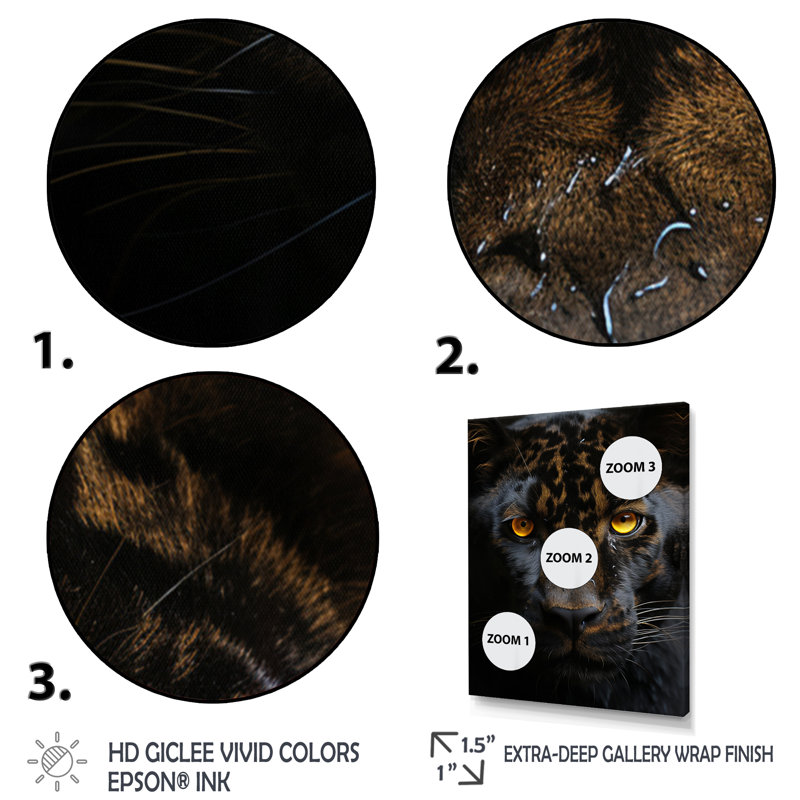 «Black White Panther Eyes Of Intensity» sur impression sur toile, H 20 po x l 12 po x P 1 po, Encadrement doré