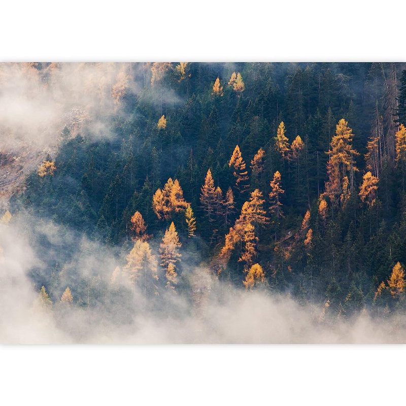 Murale à peindre vue aérienne d'automne, L 66 po x l 96 po