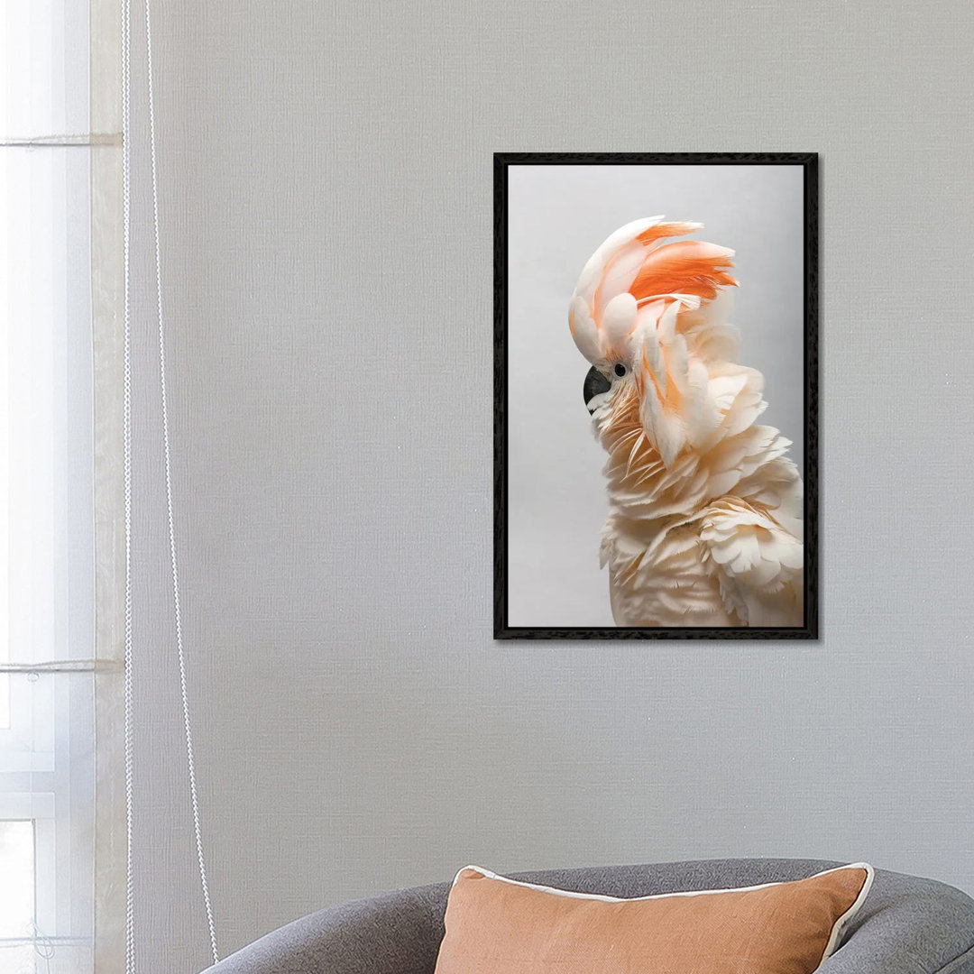 A Vulnerable Salmon-Crested Cockatoo At The Sedgwick County Zoo von Joel Sartore - Gallery-Wrapped Canvas Giclée on Canv...