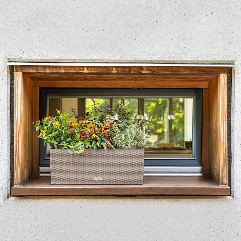 Balconera Window Box Planter, 19 cm H x 50 cm W x 19 cm D, Sand Brown