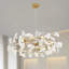 1 - Light Chandelier-146930476