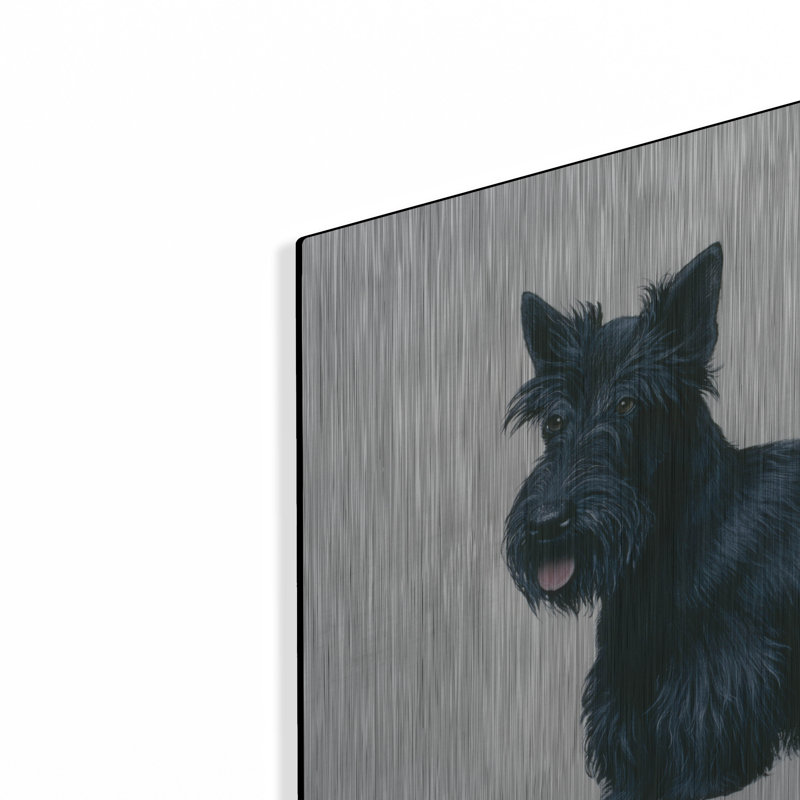 «Scottish Terrier» par Harro Maass, H 12 po x l 16 po