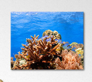 1 Piece Wall Art on Canvas, 80 cm H x 100 cm B x 2 cm T