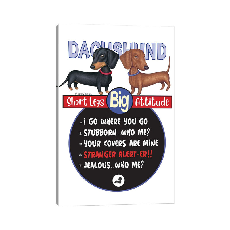 2 Dachshunds Standing by Danny Gordon - Wrapped Canvas Print, 101.6 cm H x 66.04 cm W x 3.175 cm D