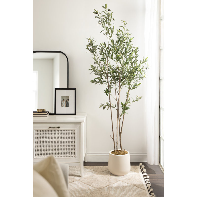 Pot de fleurs d'intérieur rond courbé Jia