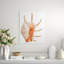 Sea Shell In White IV Print by Sofia Fox-26931964-26931961