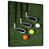 Black Floater Framed