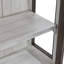 Ollie Display Stand