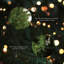 Arbre de Noël artificiel lumineux 7,5 'pin - support inclus