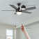 52 Inch 5 Blades DC Motor Ceiling Fan with Pull Chains and Light Kit