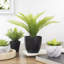 Pinus artificiel vert en pot 12 po