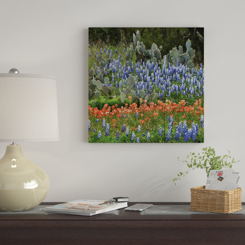 «Bluebonnet, Paintbrush Cactus, Texas and Pricky Pear», impression sur toile, H 12 po x l 12 po x P 1,5 po, Toile tendue