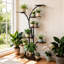 Plant Stand