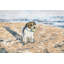 Parvez Taj - Wrapped Canvas Painting-37945283