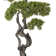 55.57'' Faux Bonsai Tree in Planter