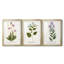 Nature Printed Botanicals V - reproduction sur mesure encadrée de qualité supérieure - 3 pièces-506778575-506778574
