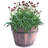 Eugenia Handmade Wood Barrel Planter-884268552