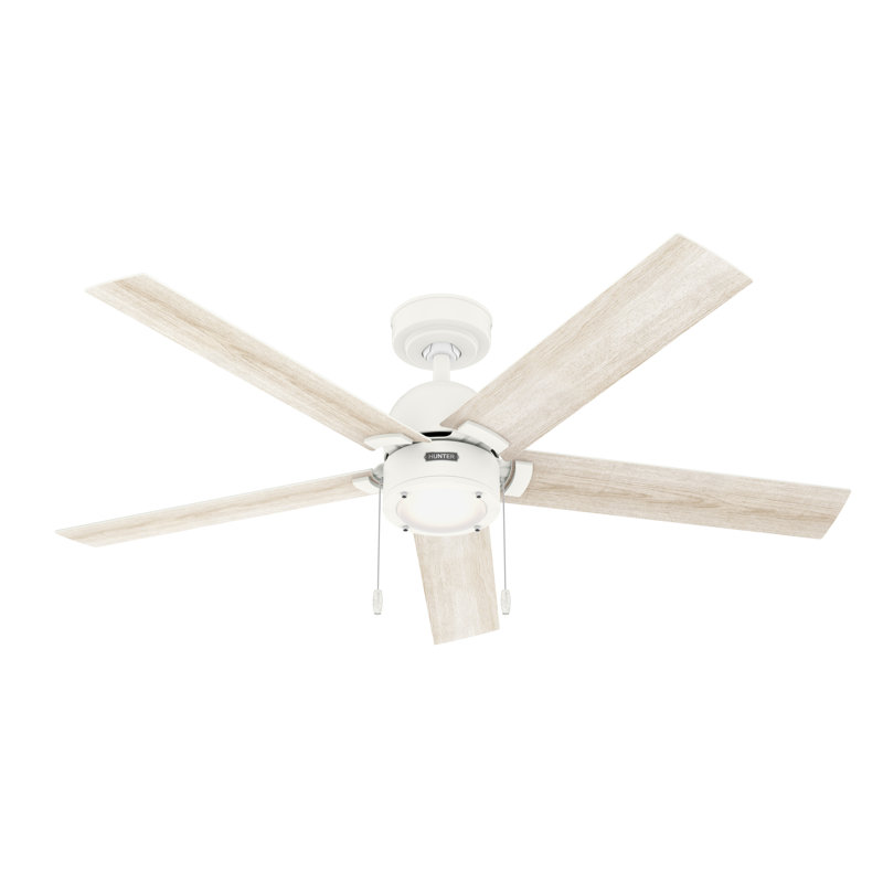 52" Erling 6 - Blade Ceiling Fan with LED Light Kit and Pull Chain, Matte White