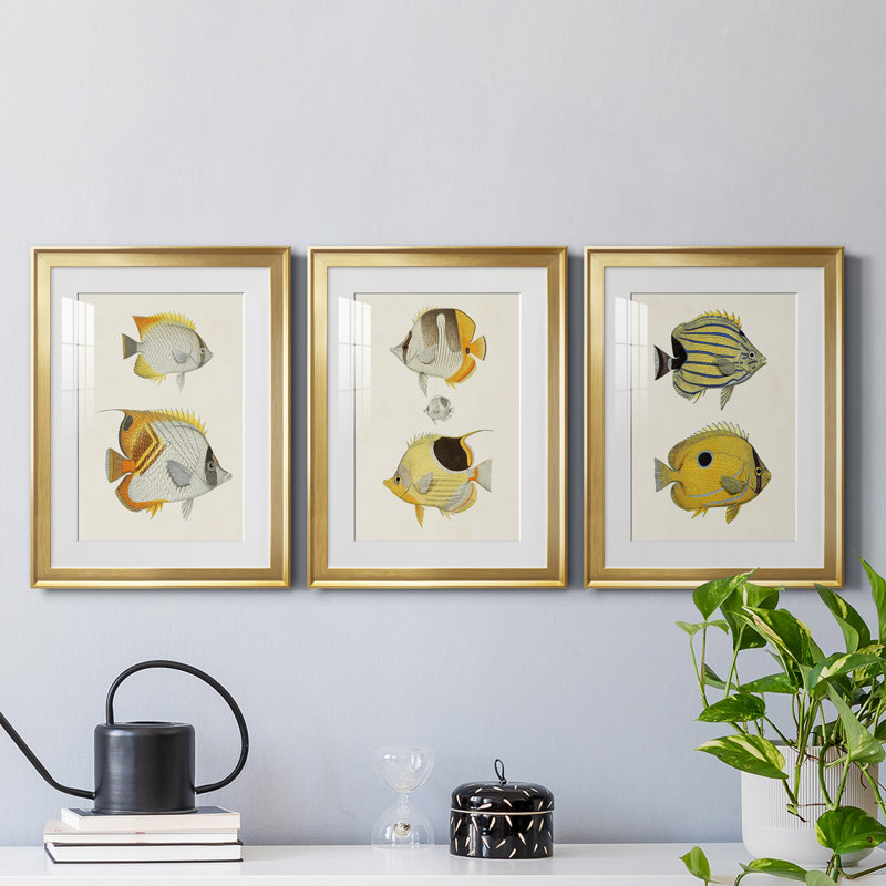 «Yellow and Gray Fish I», reproduction encadrée de qualité supérieure - prête à être accrochée, Cadre doré, Blanc