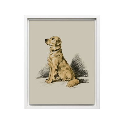 Labrador Retriever No1