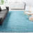 Hermina Light Turquoise Area Rug-21906634