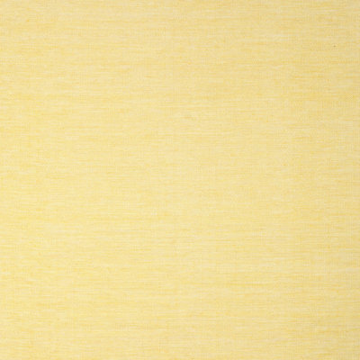 Indoor Rug