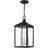 3 Light Outdoor Pendant Lantern with Clear Glass Shade-101230945-101230941