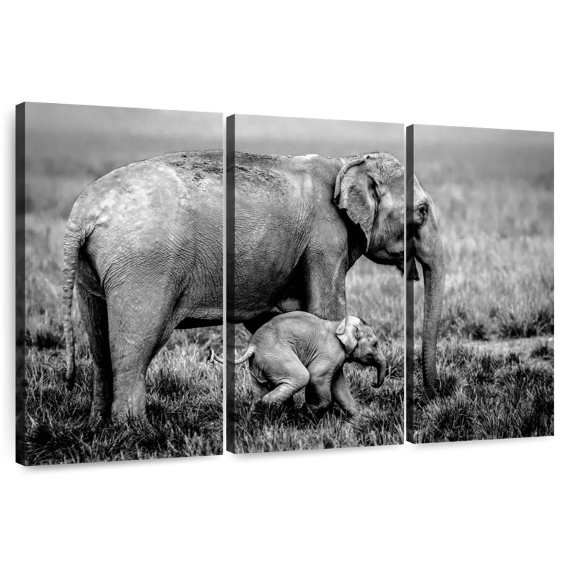 Elephant And Its Young In Assam, 48" H x 74" W