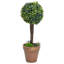 Faux Boxwood Plant in Ceramic Pot-1046020939