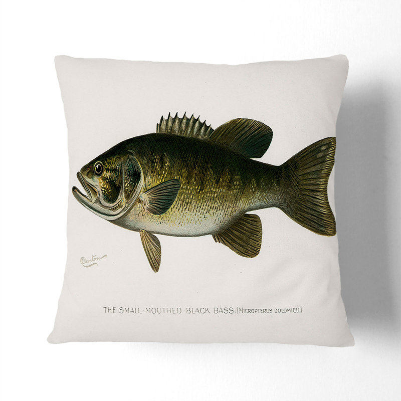 Square Throw Cushion, 55cm H x 55cm W x 20cm D