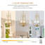 Lustre empire à intensité variable à 5 lumières Jamei