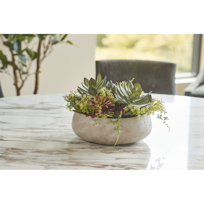 PLANT 14IN Round Succulent Arrangement, Natural Pot, Beige