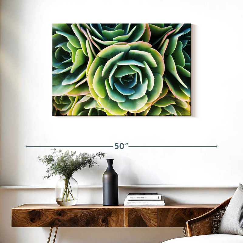 Rose succulente Harnek, H 24 po x l 36 po