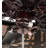 Jadzia 30'' Ceiling Fan with Light Kit