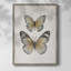 «Vintage Butterflies I», reproduction encadrée - bois massif-969434532