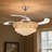 Faruq 42'' Ceiling Fan with LED Lights