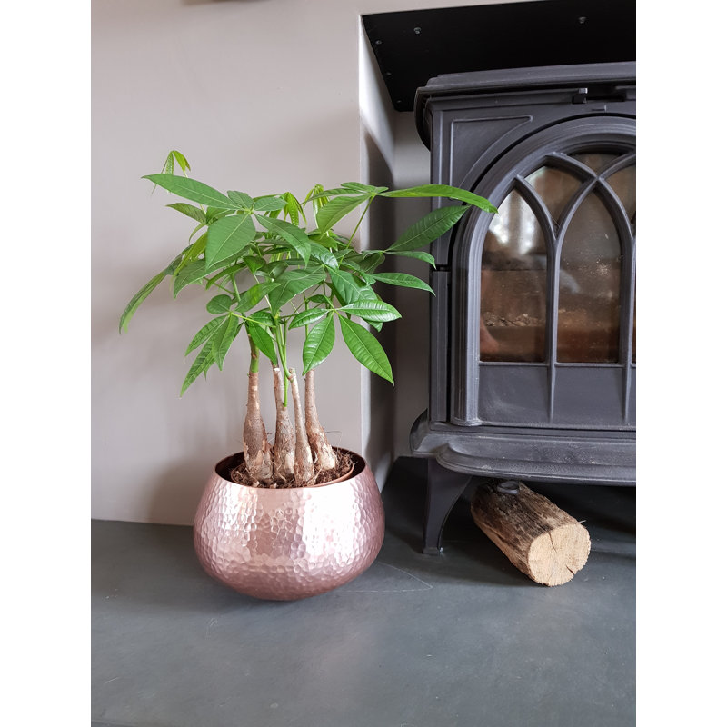 Shawnda Metal Pot Planter