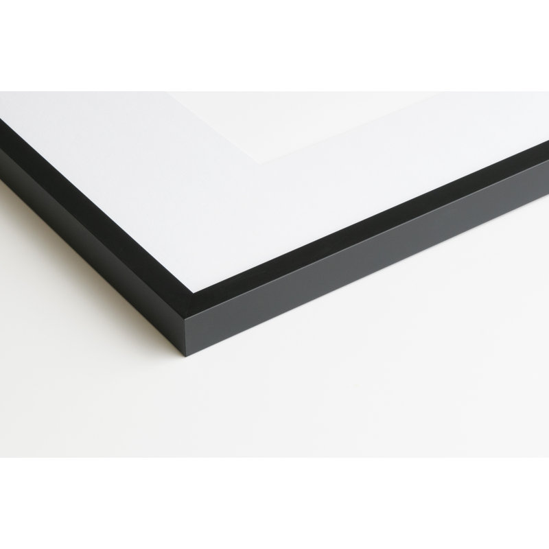 Capullo Wood Matte Picture Frame with Mat, 24" x 36", 20" x 30", Black