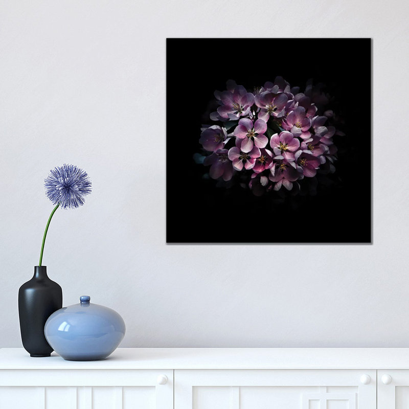 Purple Verbena by Brian Carson - Wrapped Canvas Print, 45.72 cm H x 45.72 cm W x 3.175 cm D